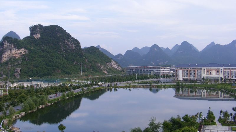 企业电子产品采购方案：如何规避潜在风险**