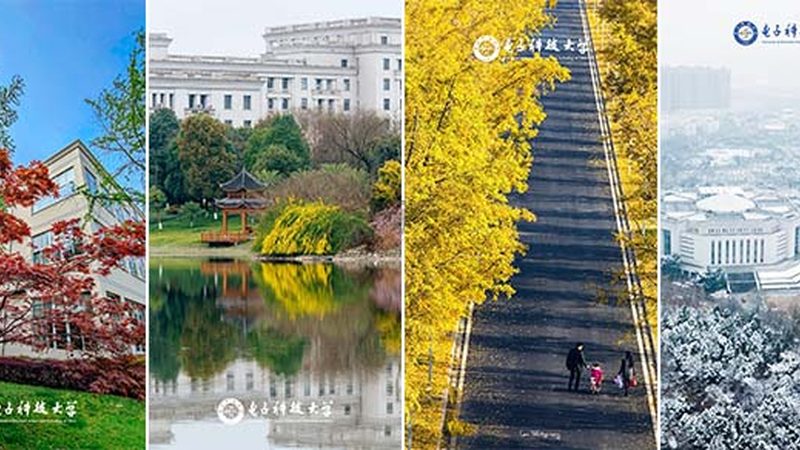 成都电子模块代理加盟，合同模板解析**